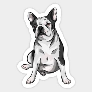 Cute French Bully! | French Bulldog Sticker